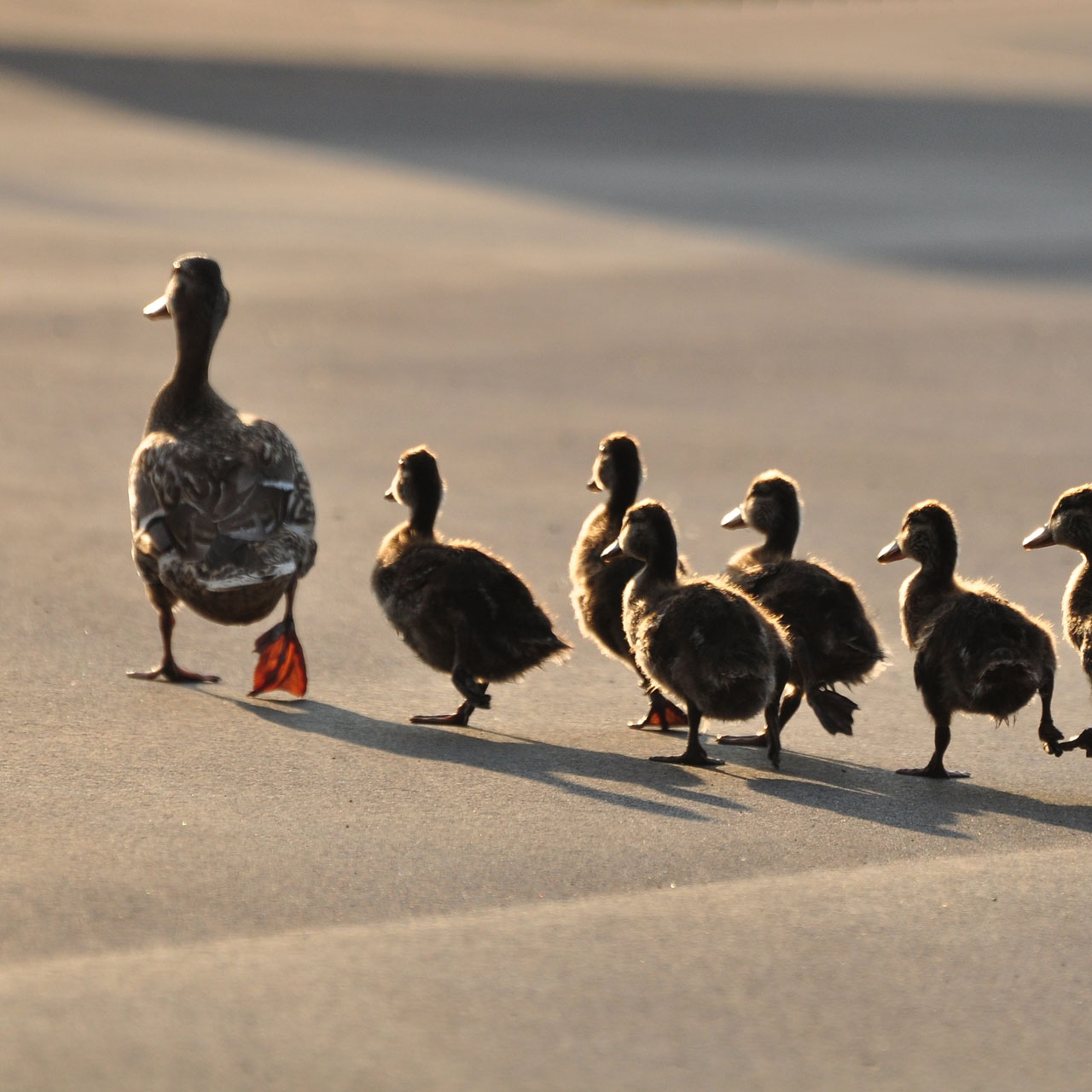 Leading for Creativity