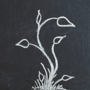 The science bit