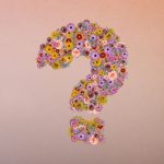 Reflexion questions
