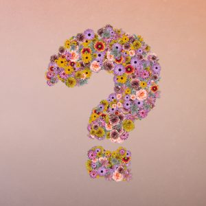 Reflexion questions