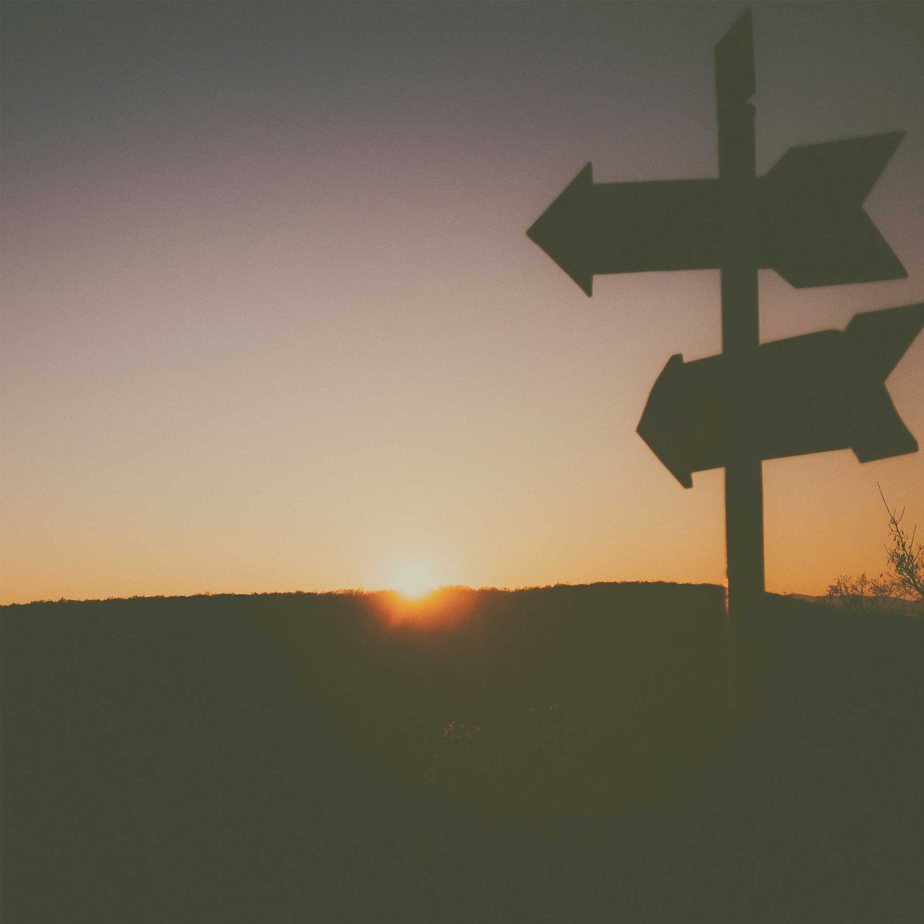 Human Signpost