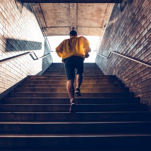 Fit for purpose