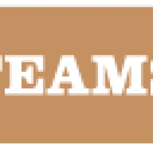 teams